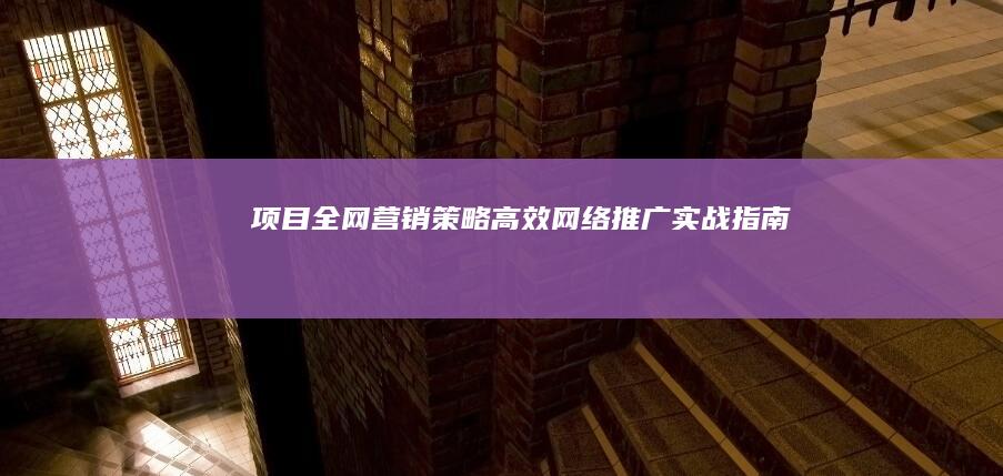 项目全网营销策略：高效网络推广实战指南